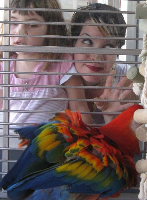 Mother and daughter, noses pressed against the glass outside a bird cage.